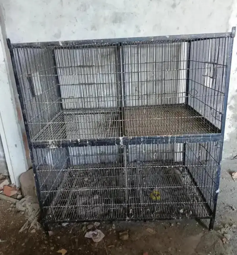 iron cage 8 feet hight 4 feet wirth 2.5 feet deep — photo 3