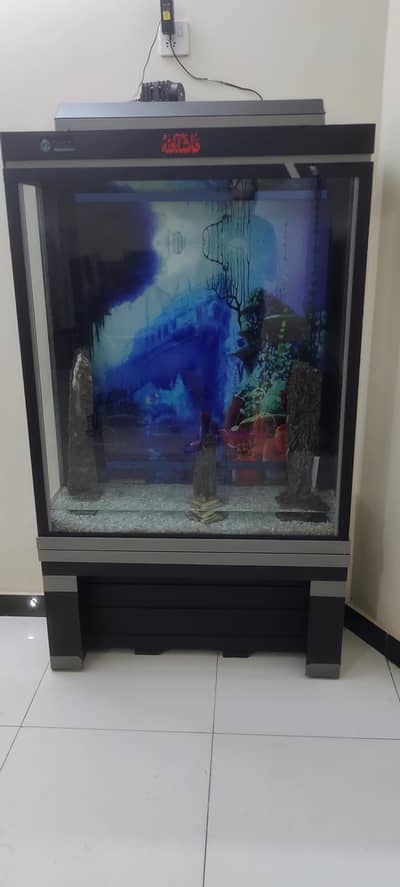 Beautiful Highted Fish Aquarium
