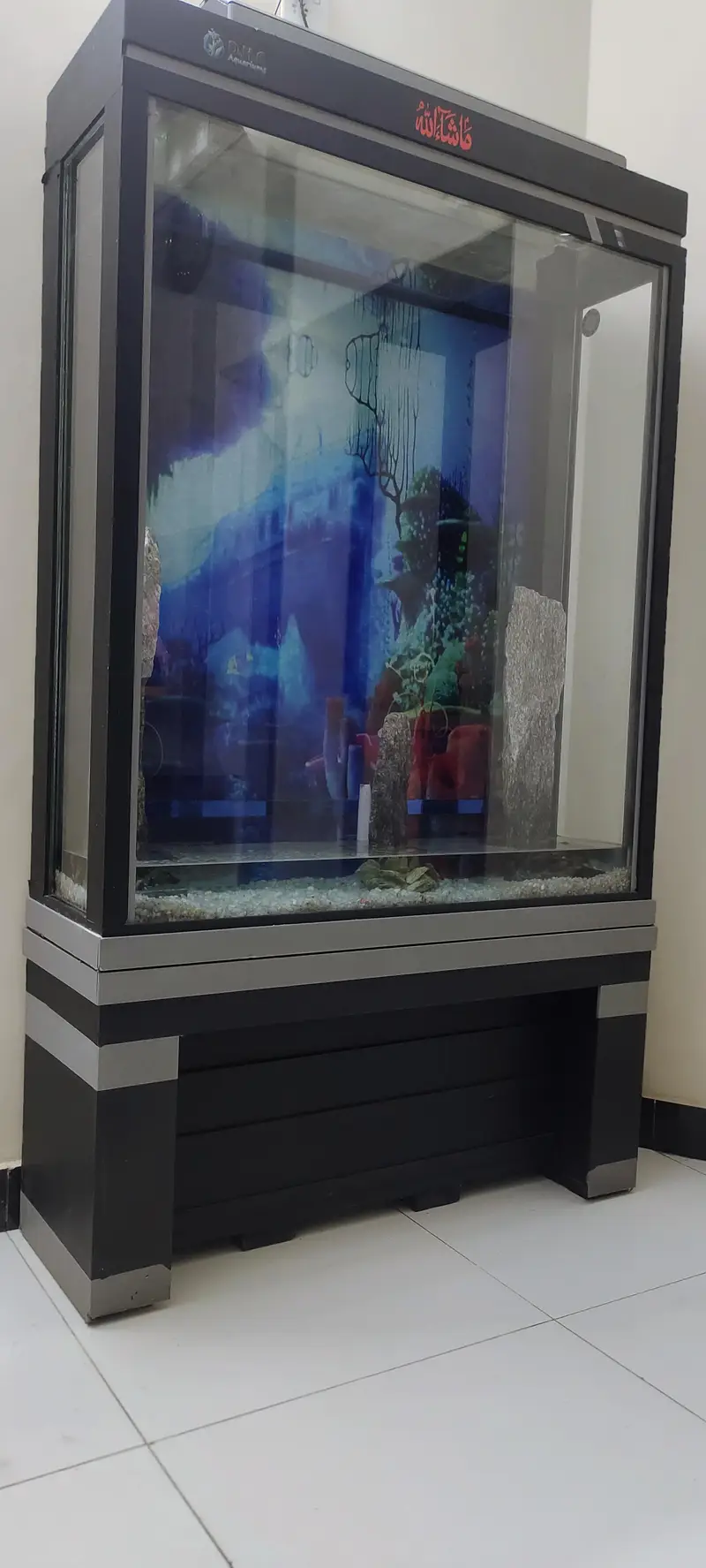 Beautiful Highted Fish Aquarium — photo 2