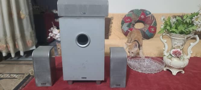Denon 3.1 Home Theater Speaker System with Active Subwoofer (DSW-56)