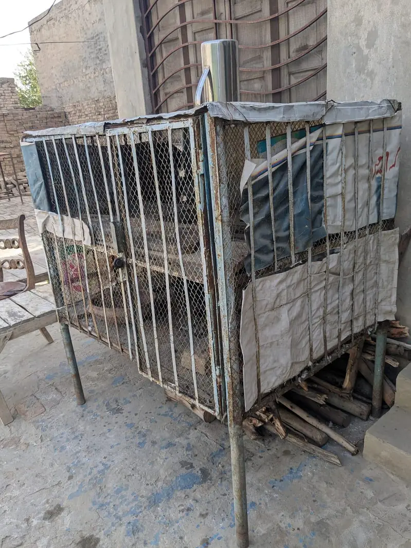 Bird cage — photo 2