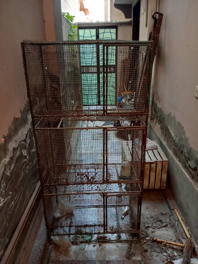 Iron Hens Cage