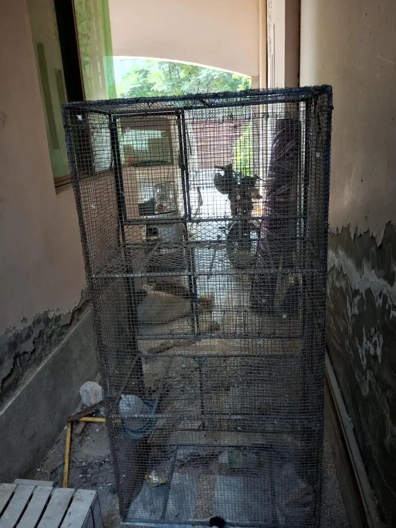 Iron Hens Cage — photo 2
