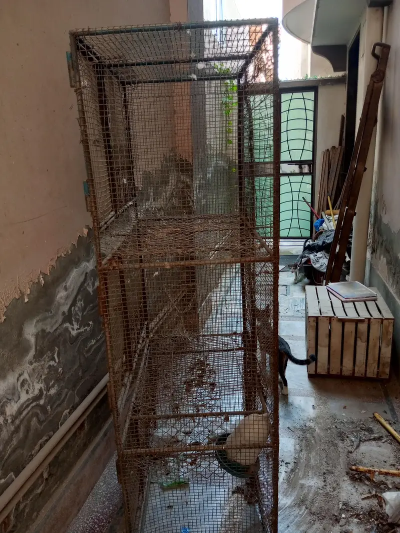 Iron Hens Cage — photo 3