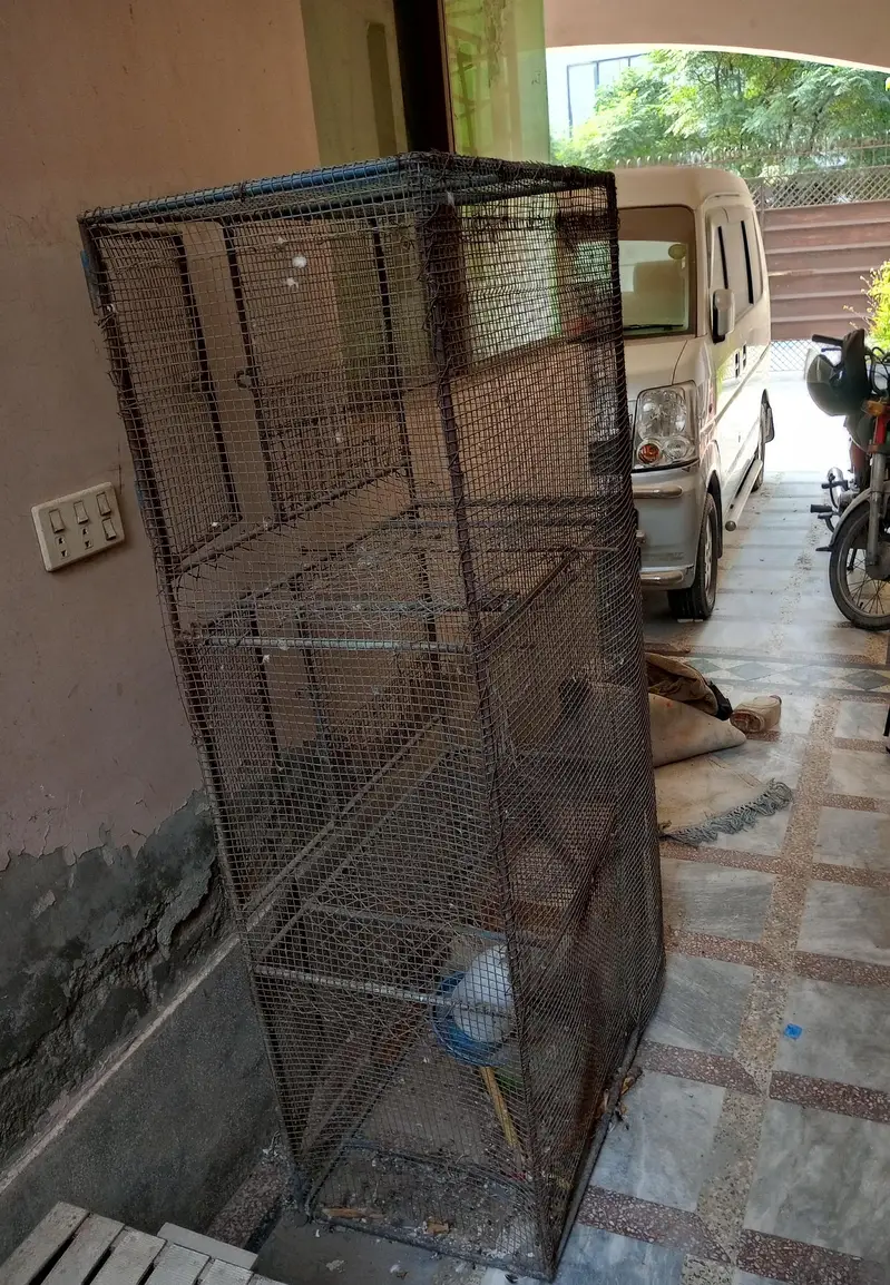 Iron Hens Cage — photo 5