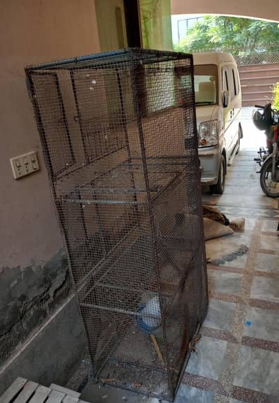 Hens Iron Cage