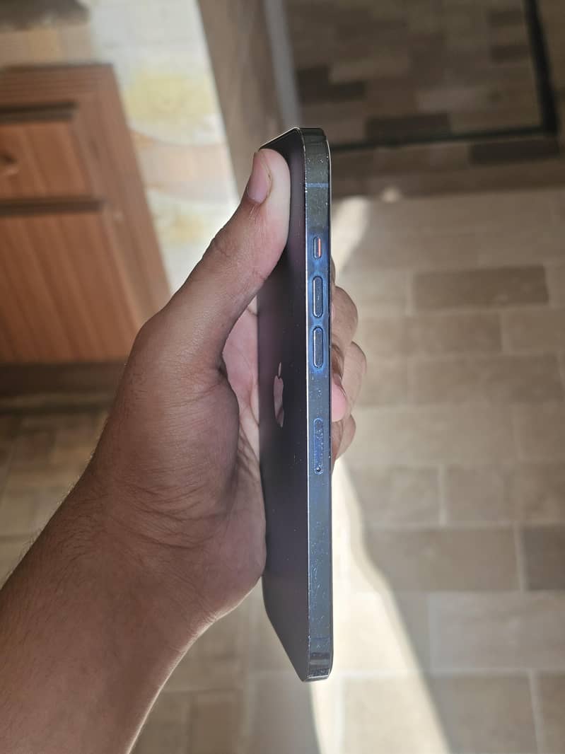 Apple iPhone 12 Pro Max 2