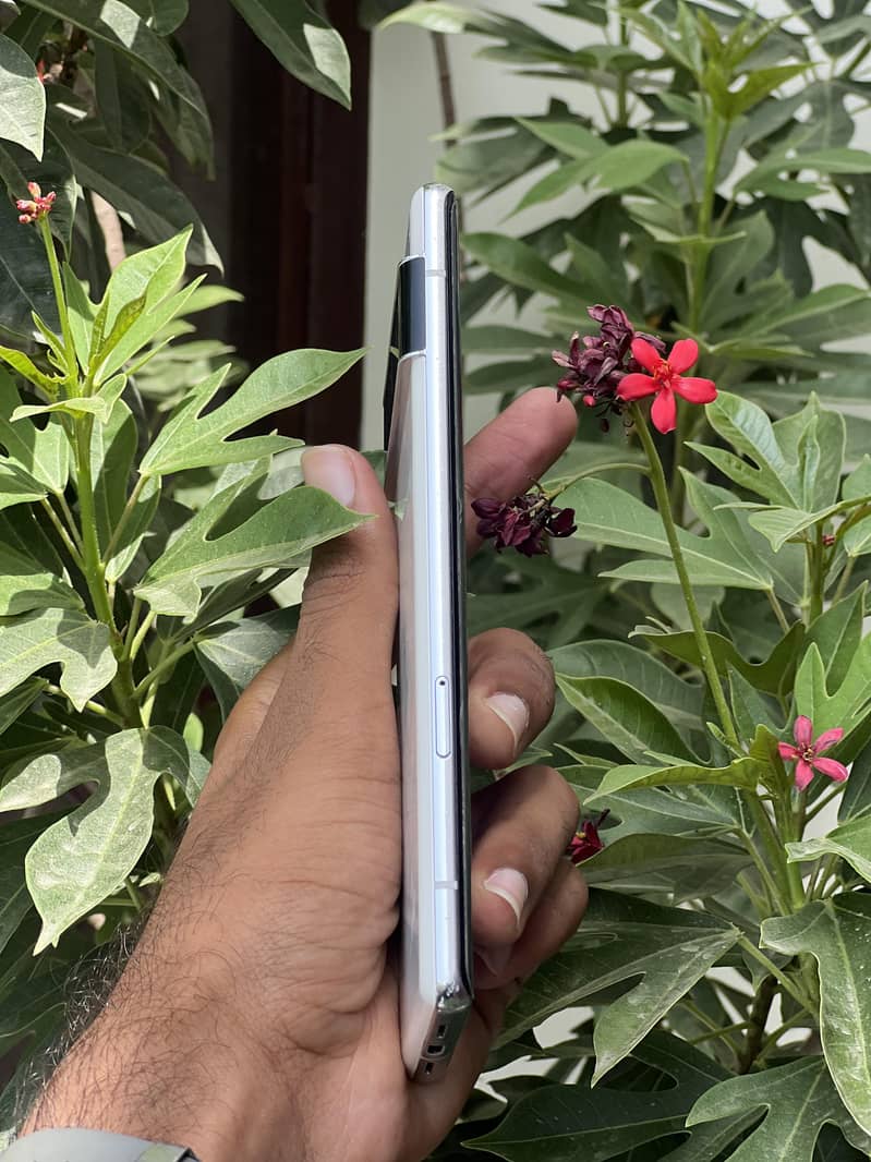 Google Pixel 6 Pro 1