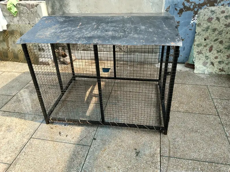 dog cage — photo 4