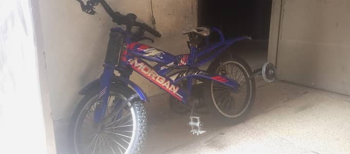 Bicycle with supporting wheels