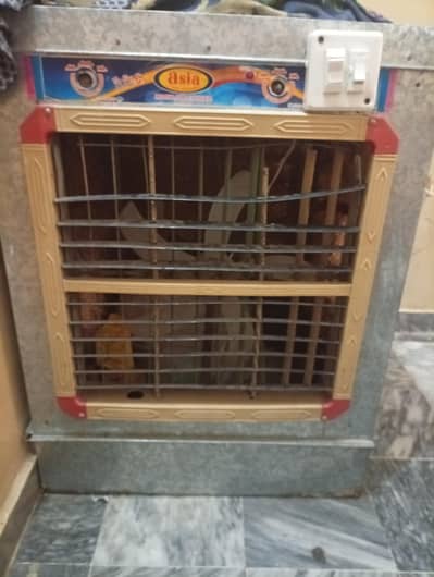 Lahori Cooler for Sale