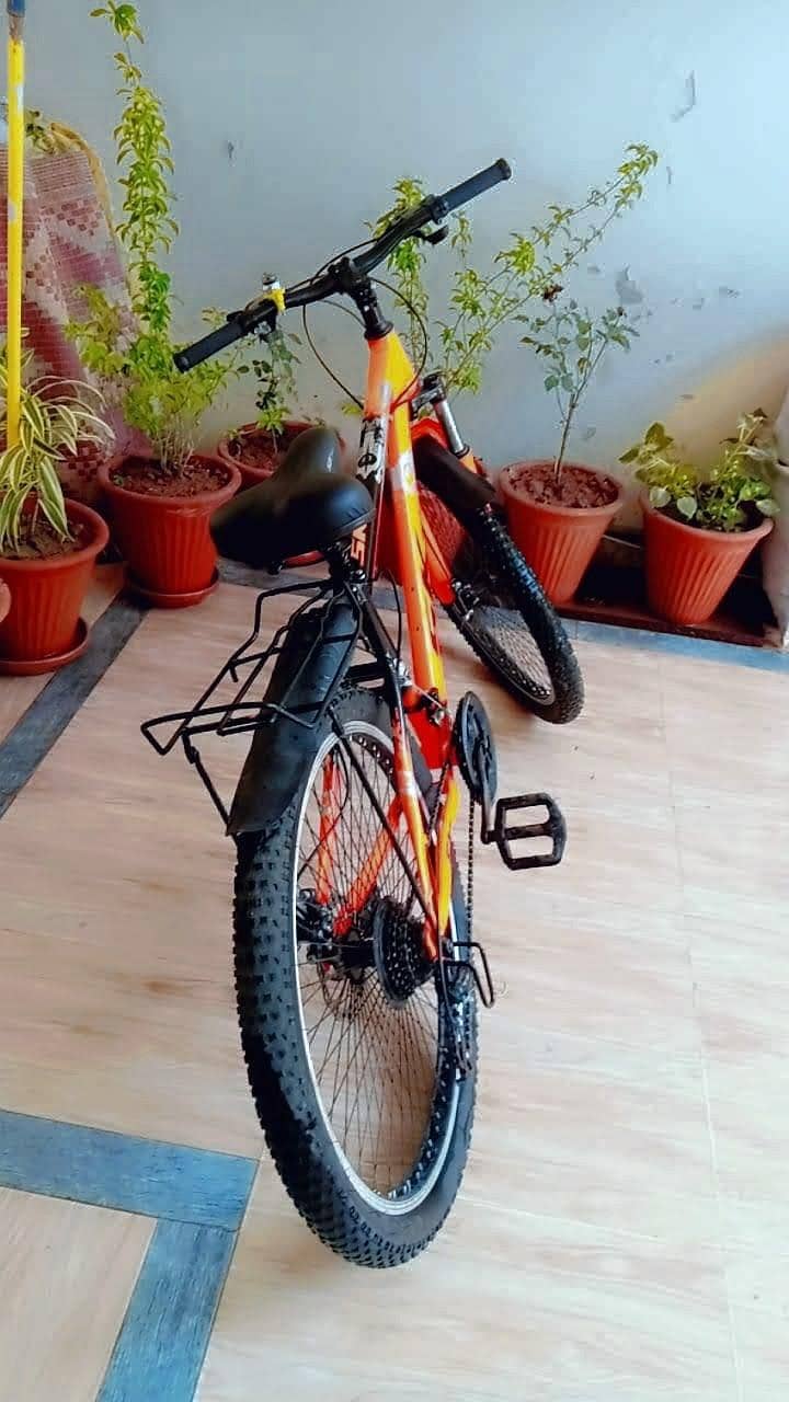 cycle 3