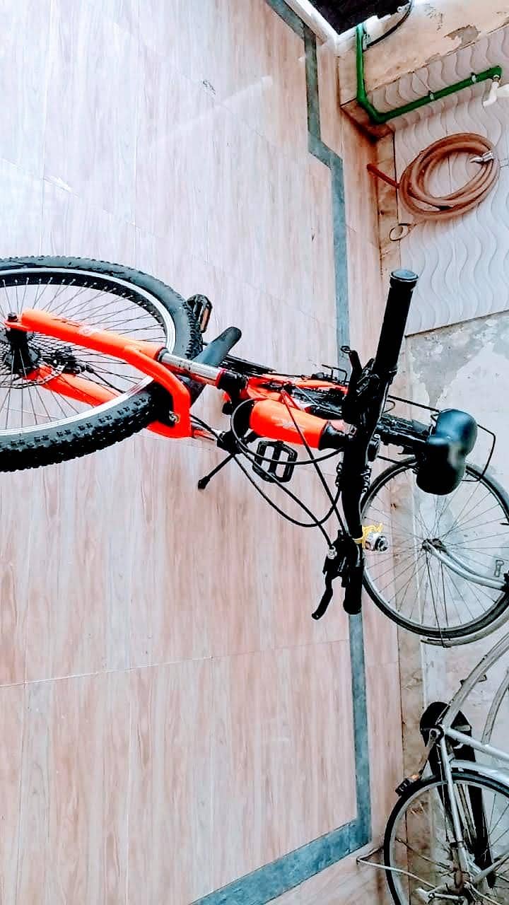 cycle 5