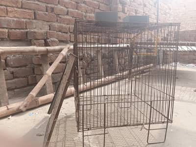 cage in best price