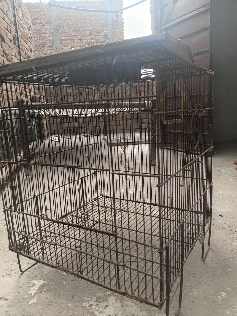 cage in best price — photo 2