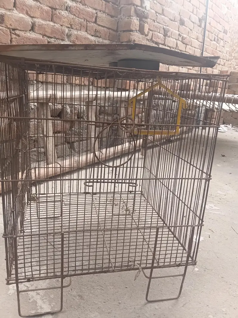 cage in best price — photo 3