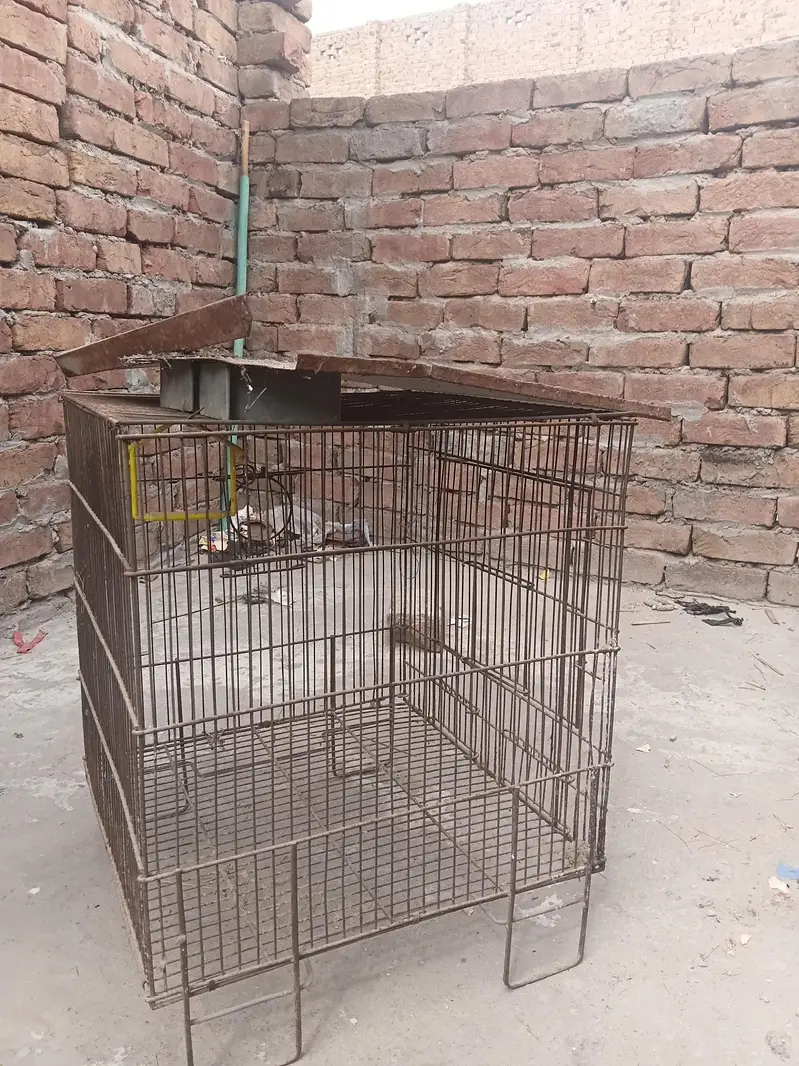 cage in best price — photo 4