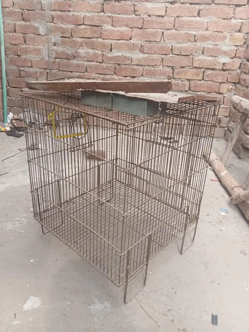 cage in best price — photo 5