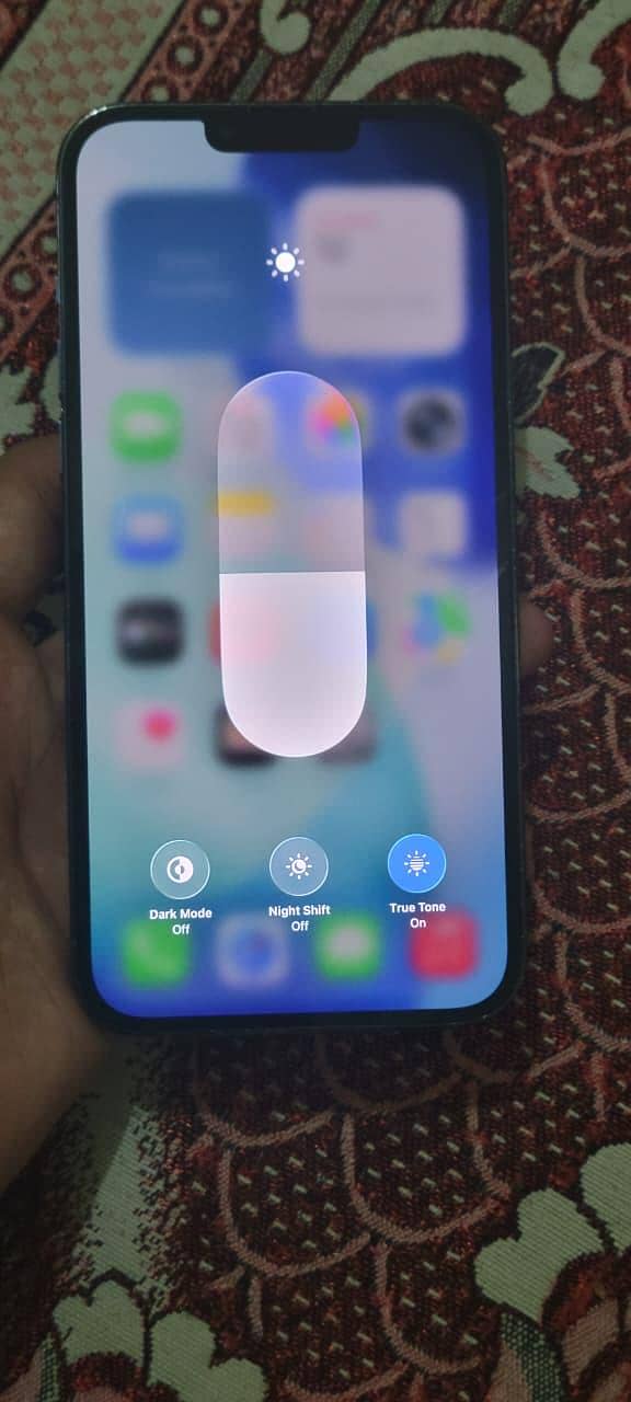 Apple iPhone 13 Pro Max 1