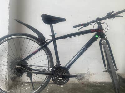 Cycle for Sal