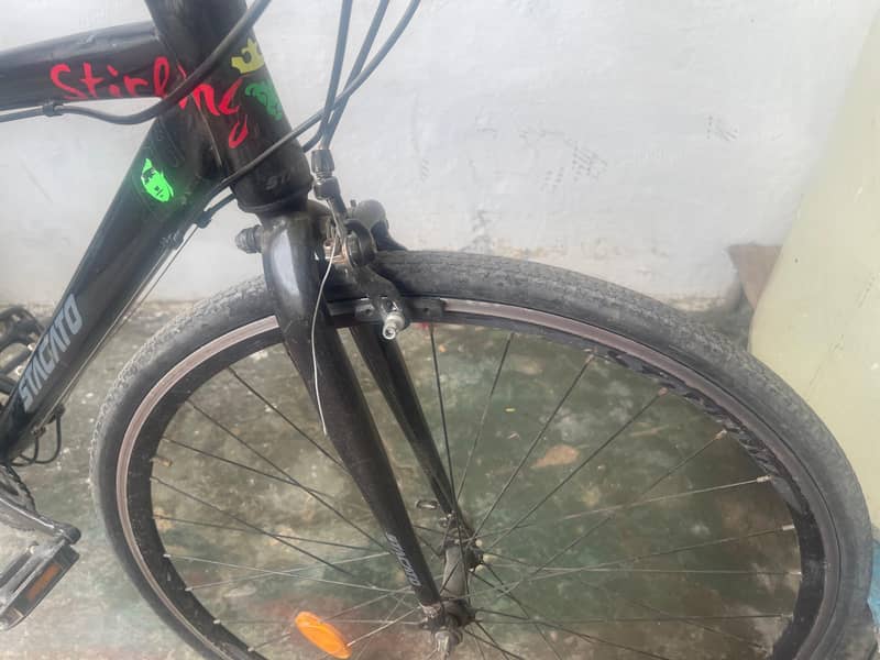 Cycle for Sal 2