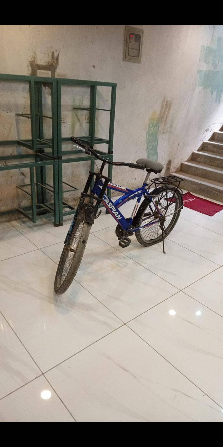 Cycle 0
