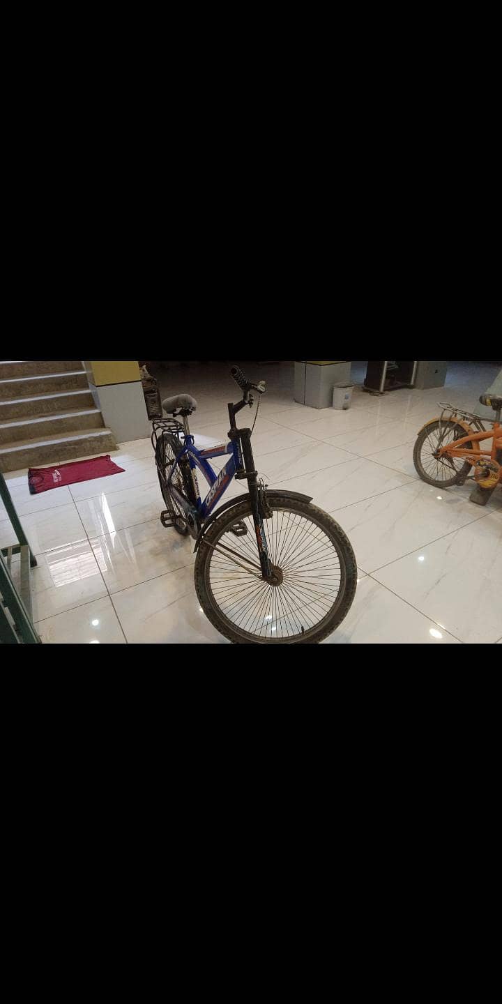Cycle 4