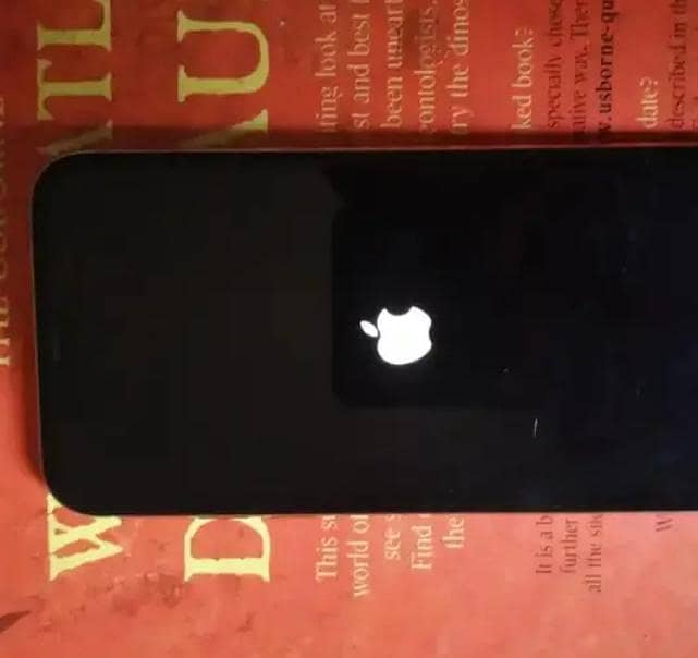 Apple iPhone X 0