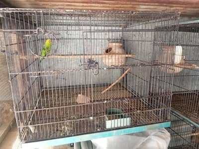 3 pair