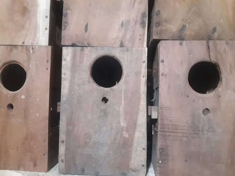 6 box kikar 1