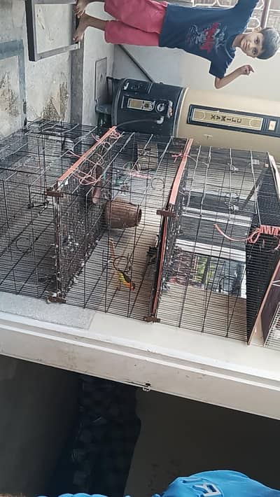 argent sale krna hy folding cage hy 0324/98/80/541