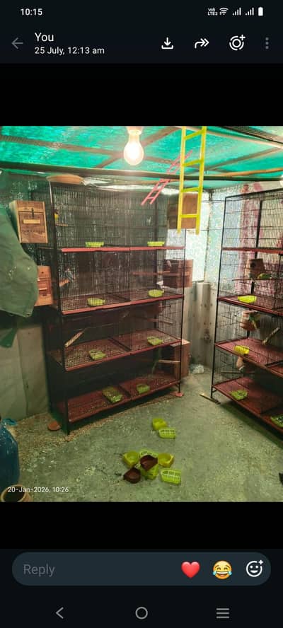 cage 8 khany wala all ok 3 pic available