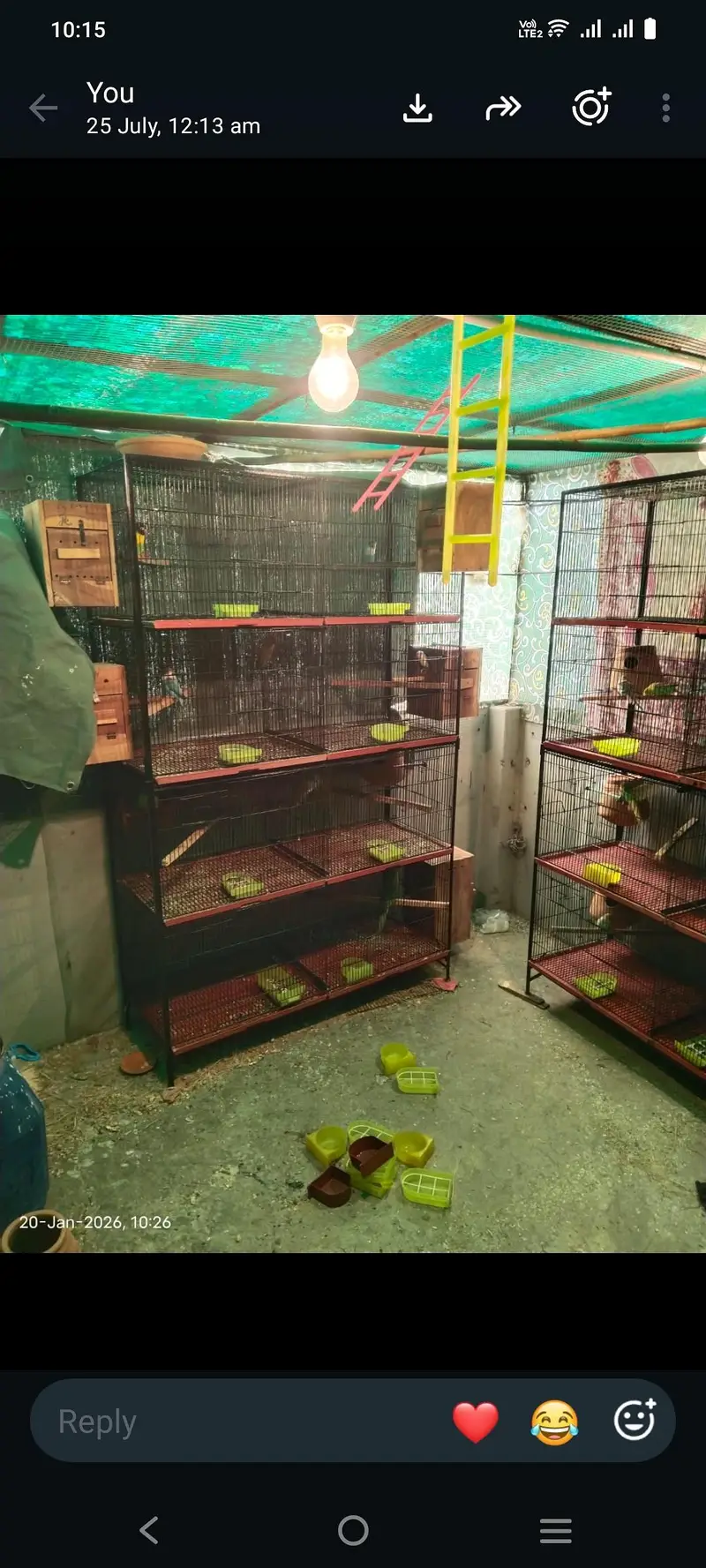 cage 8 khany wala all ok 3 pic available