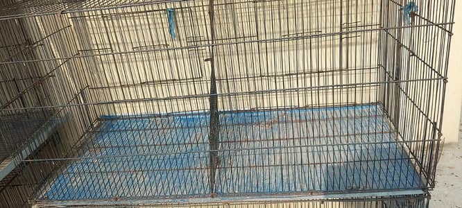 Hen cages, love bird cage