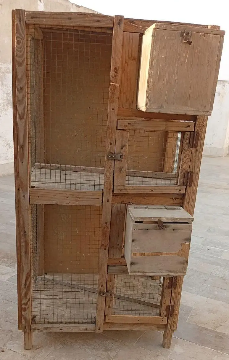 Wooden Cage — photo 4