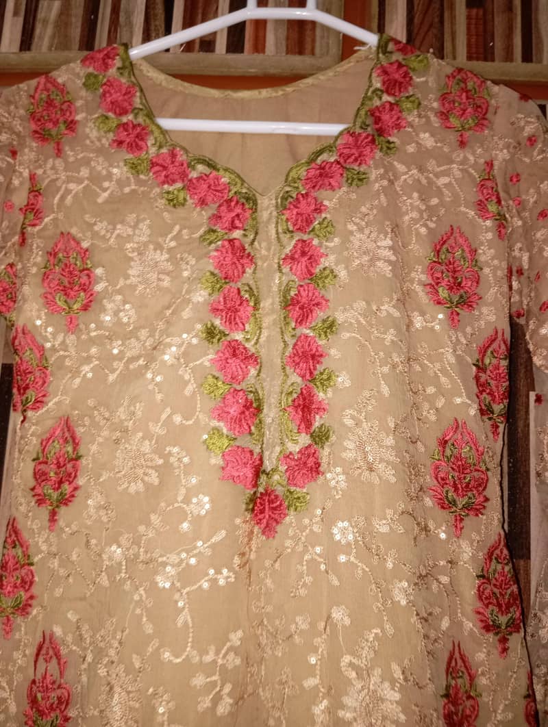 chiffon 1