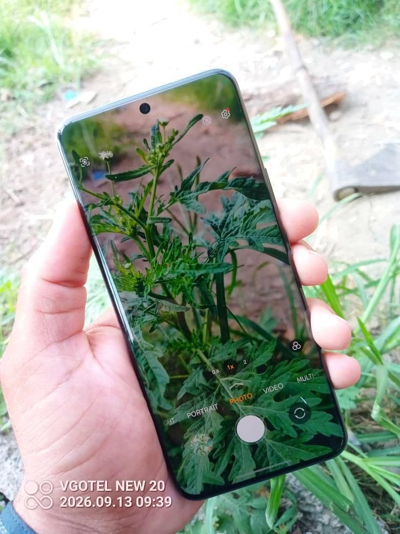 Honor 90 1