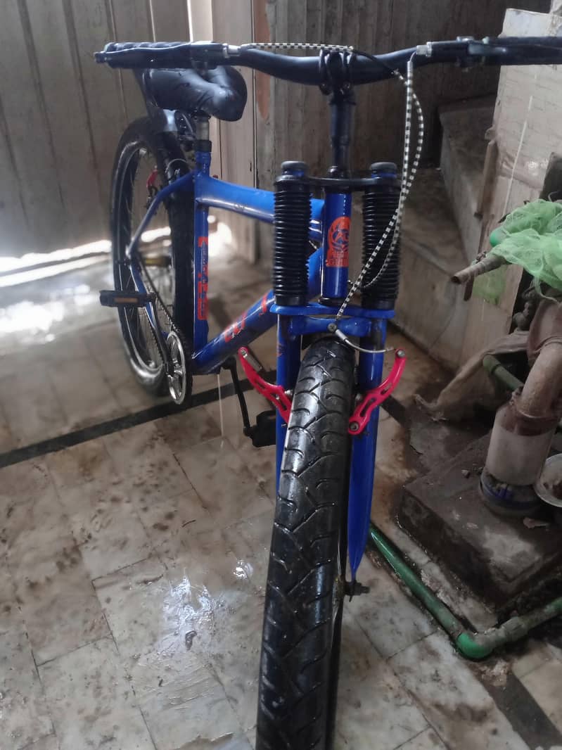 phoenix cycle 1
