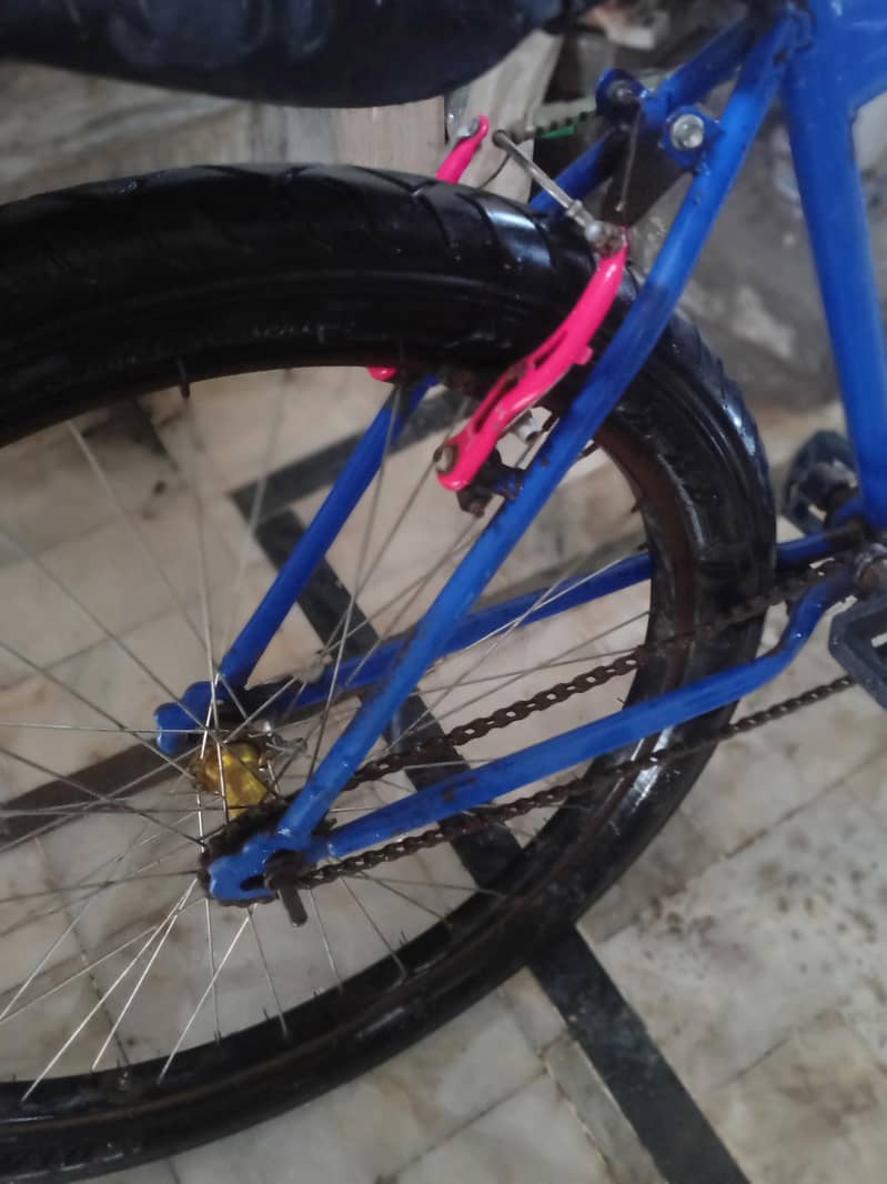 phoenix cycle 3