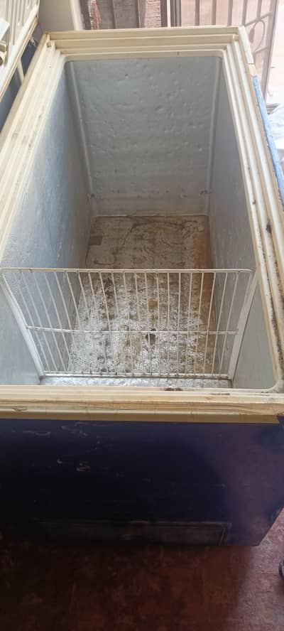 waves freezer