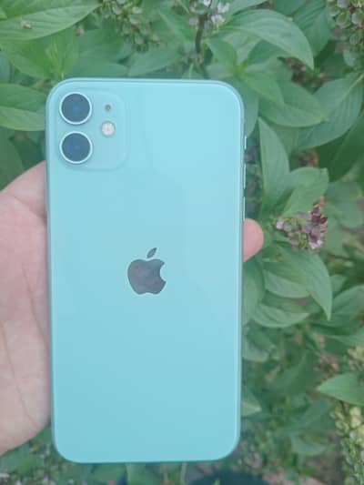 Apple iPhone 11 official pta No Exchange