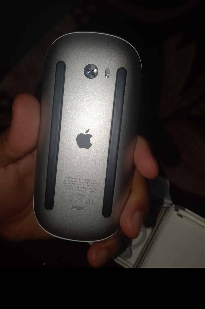 Magic mouse 2 4