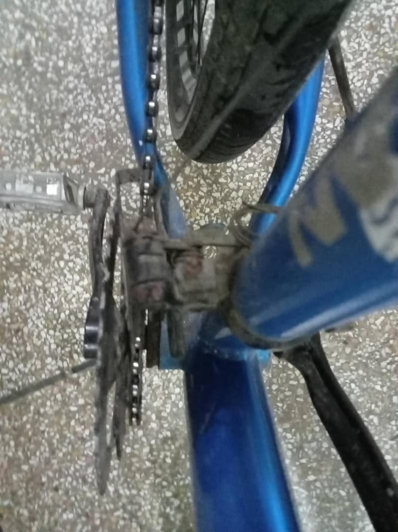 Bicycle 10