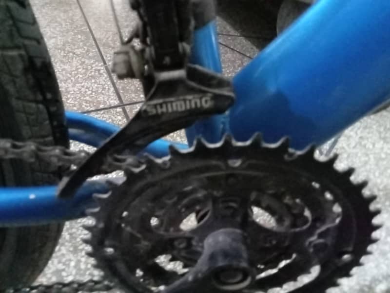 Bicycle 11