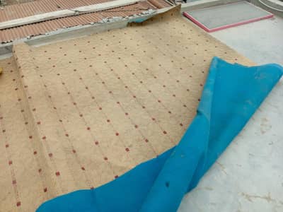 carpet 15by14 in total