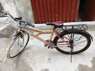 Phoenix Classic Bicycle – Used, Good Condition 10/9