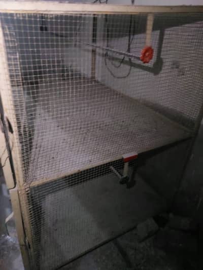 Cage for parrot and hens