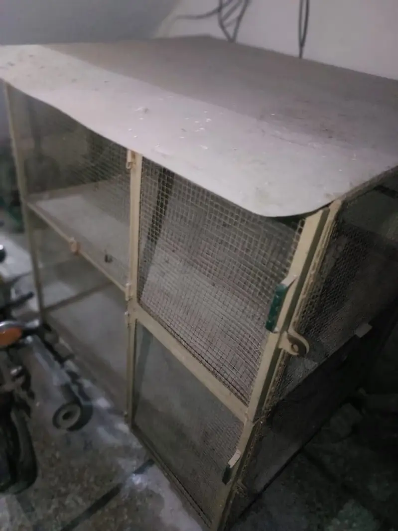 Cage for parrot and hens — photo 4