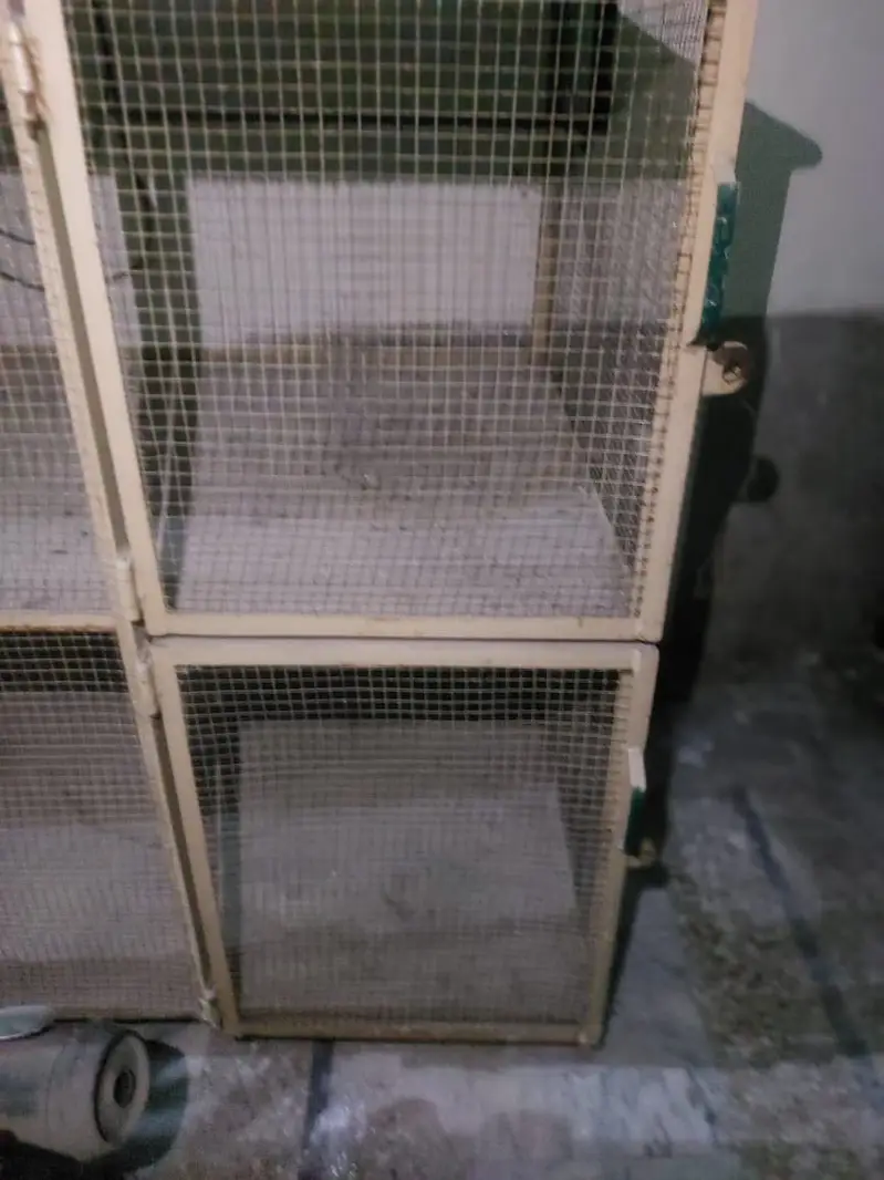 Cage for parrot and hens — photo 5
