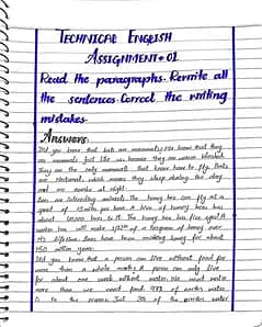 Assignments, Research projects either of AIOU or of your any degree